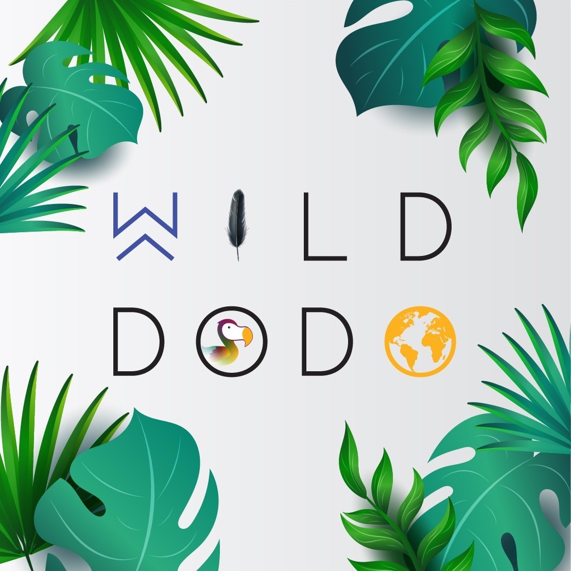 Wild Dodo Sàrl Logo