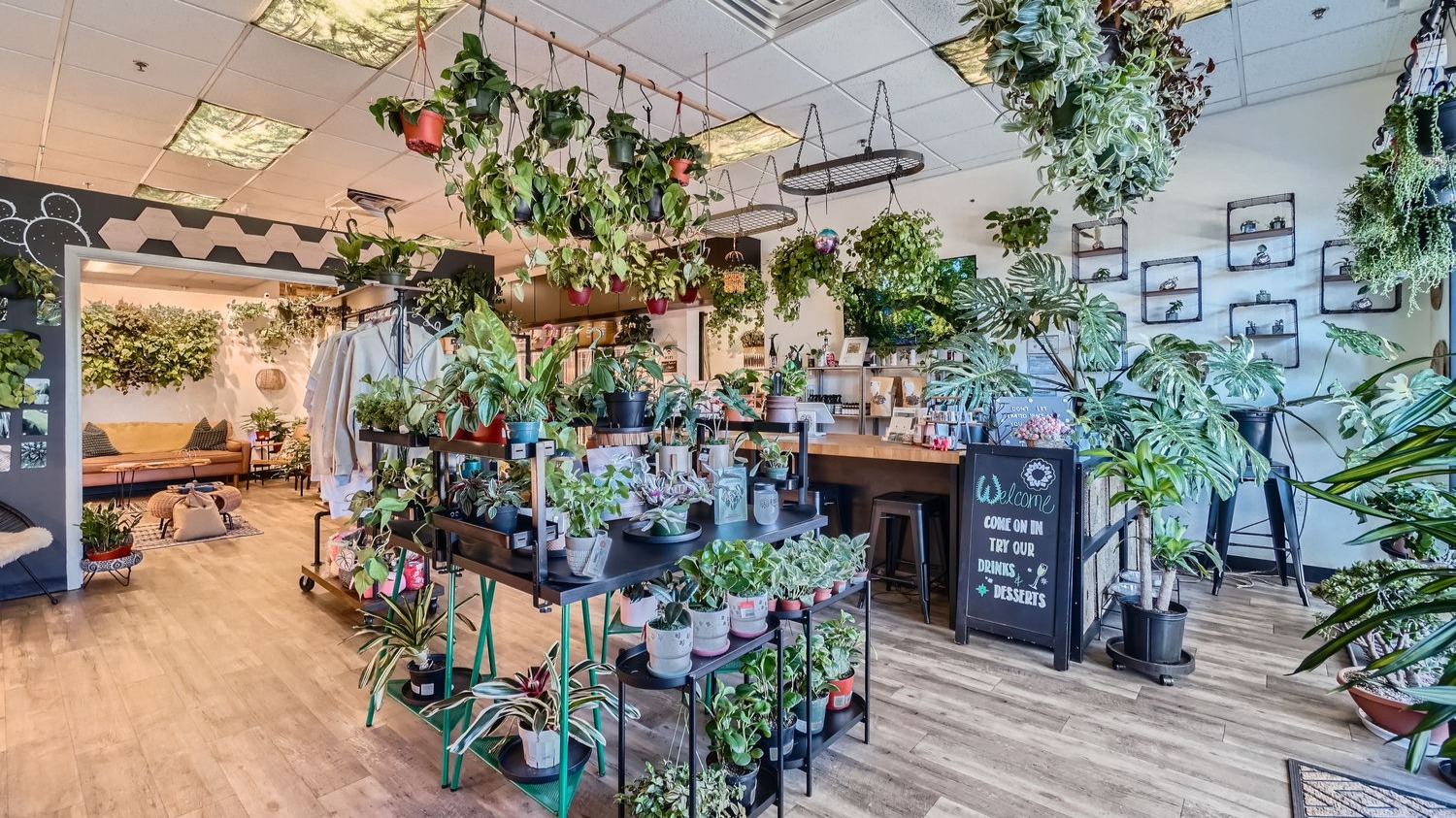 Immerse yourself in the lush beauty of our nursery and studio. A perfect haven for plant enthusiasts and wellness seekers alike.