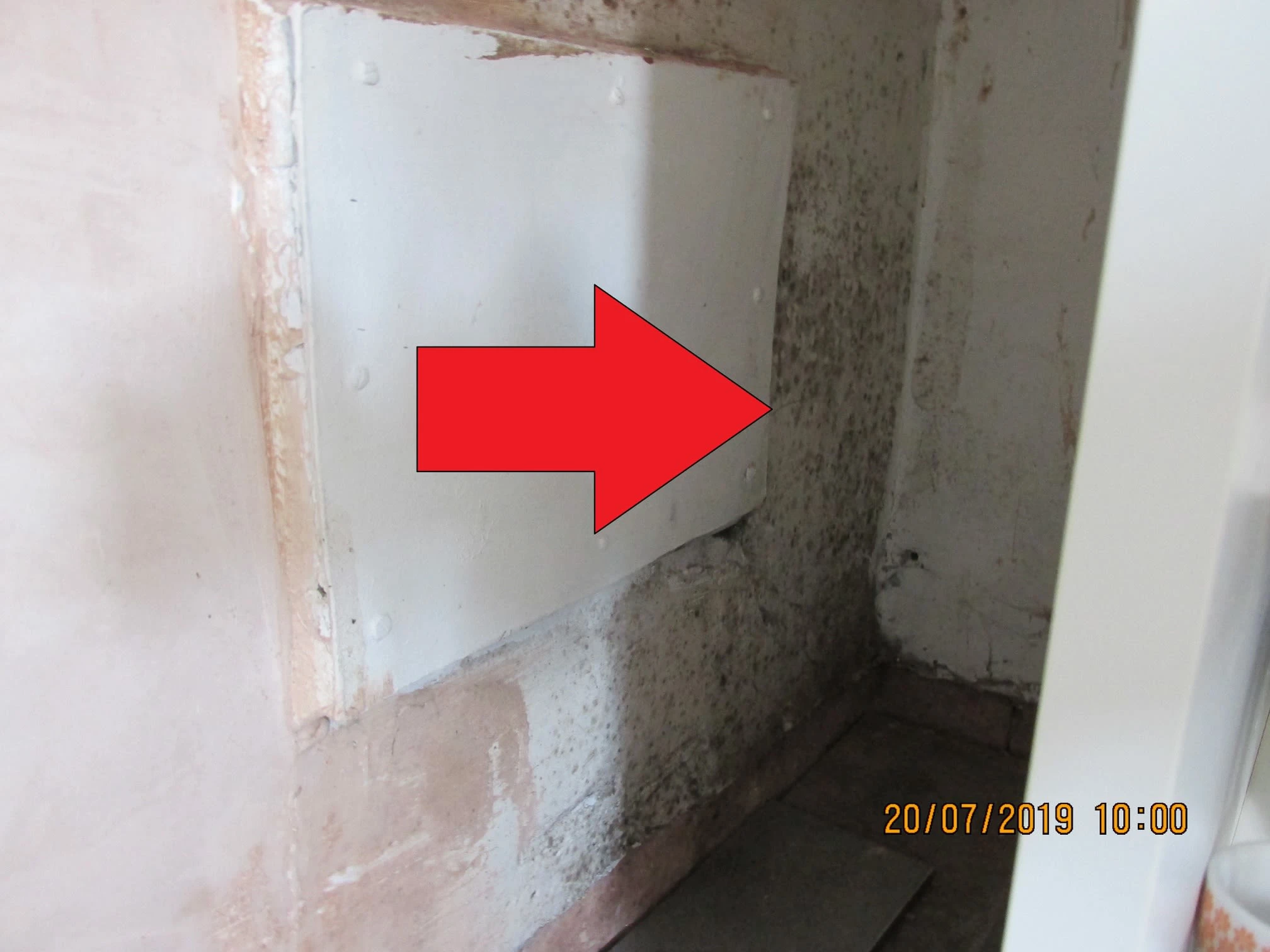 Images Damp Detectives