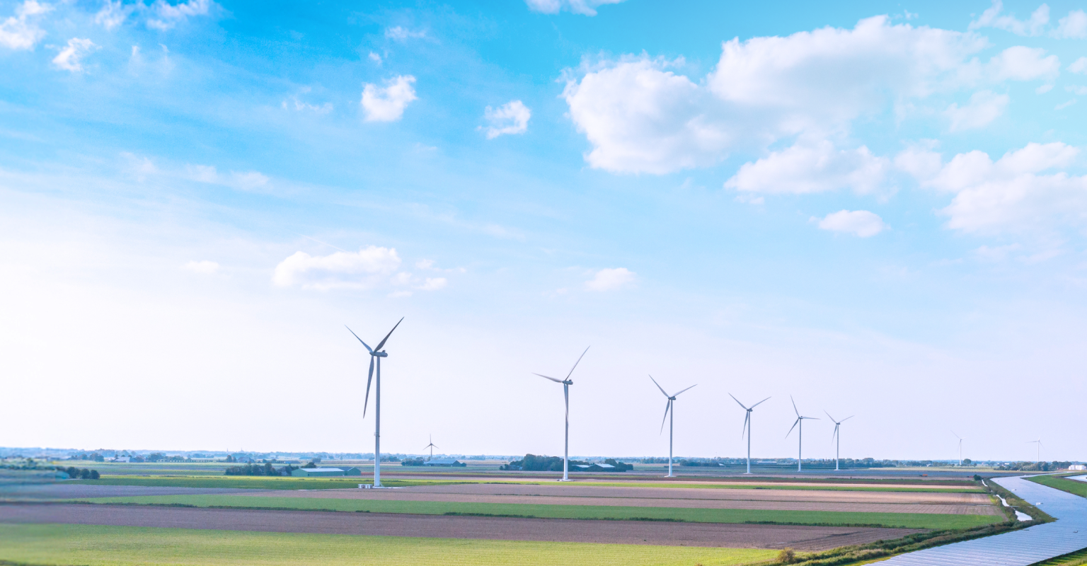 Field with wind turbines.