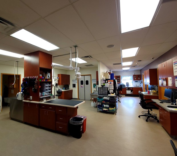 Images VCA Lantern Road Animal Hospital