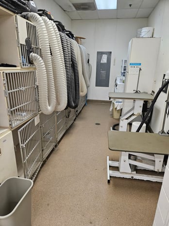 Images Petco Grooming