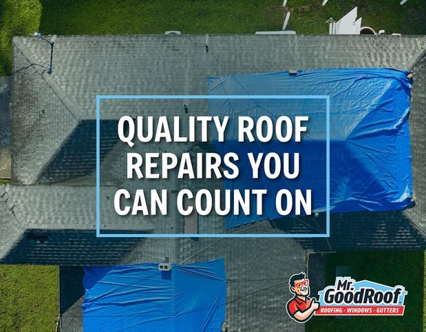 Images Mr. GoodRoof