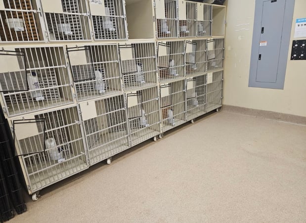 Images Petco