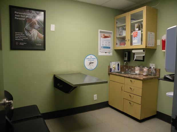 Images VCA College Park - Ana Brook Animal Hospital