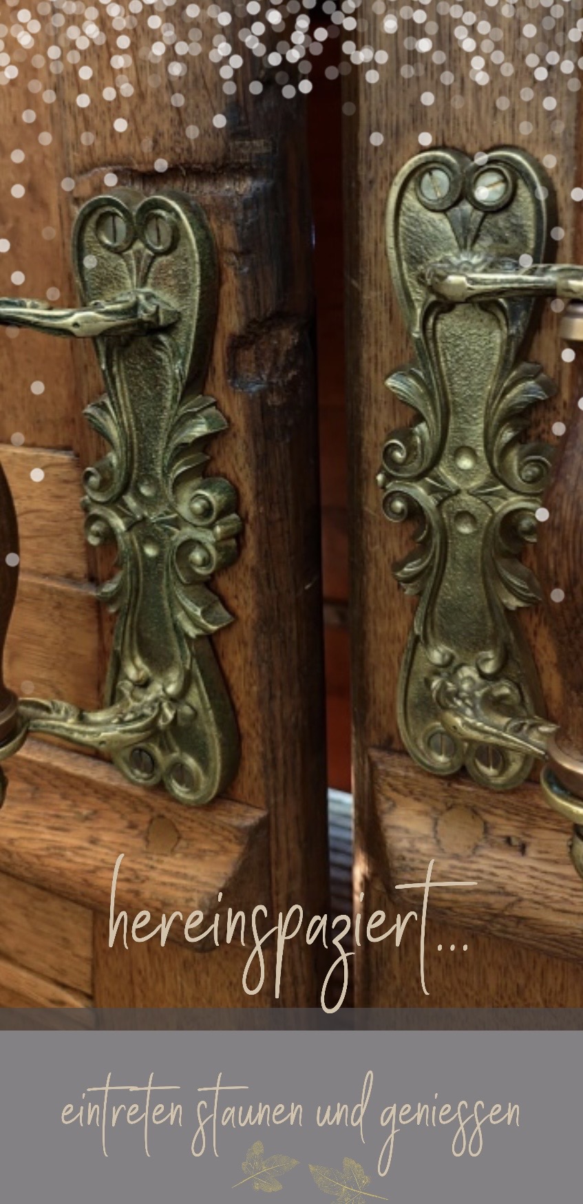 Bilder Schaufelbühl AG Blumen und Accessoires, Gartengestaltung