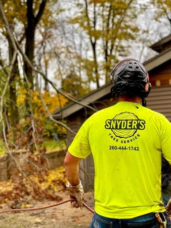 Images Snyder's Tree Service