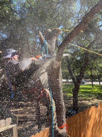 Images Doc's Tree Service