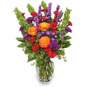 citywide flower plants