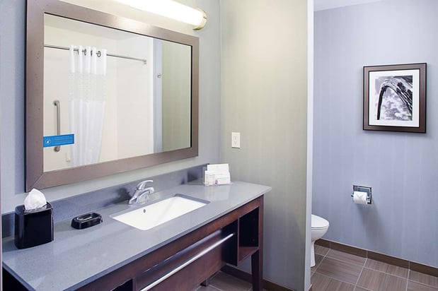 Images Hampton Inn & Suites Lansing West