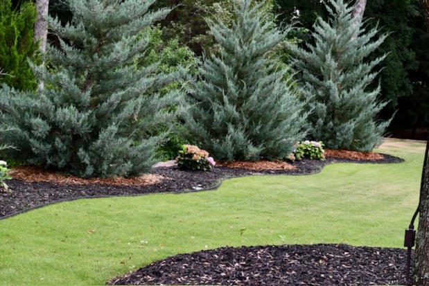 Images Abracadabra Lawn Pest & Weed Control