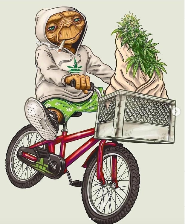 Images NM Brief Relief: Medical Marijuana Cards & CBD Products