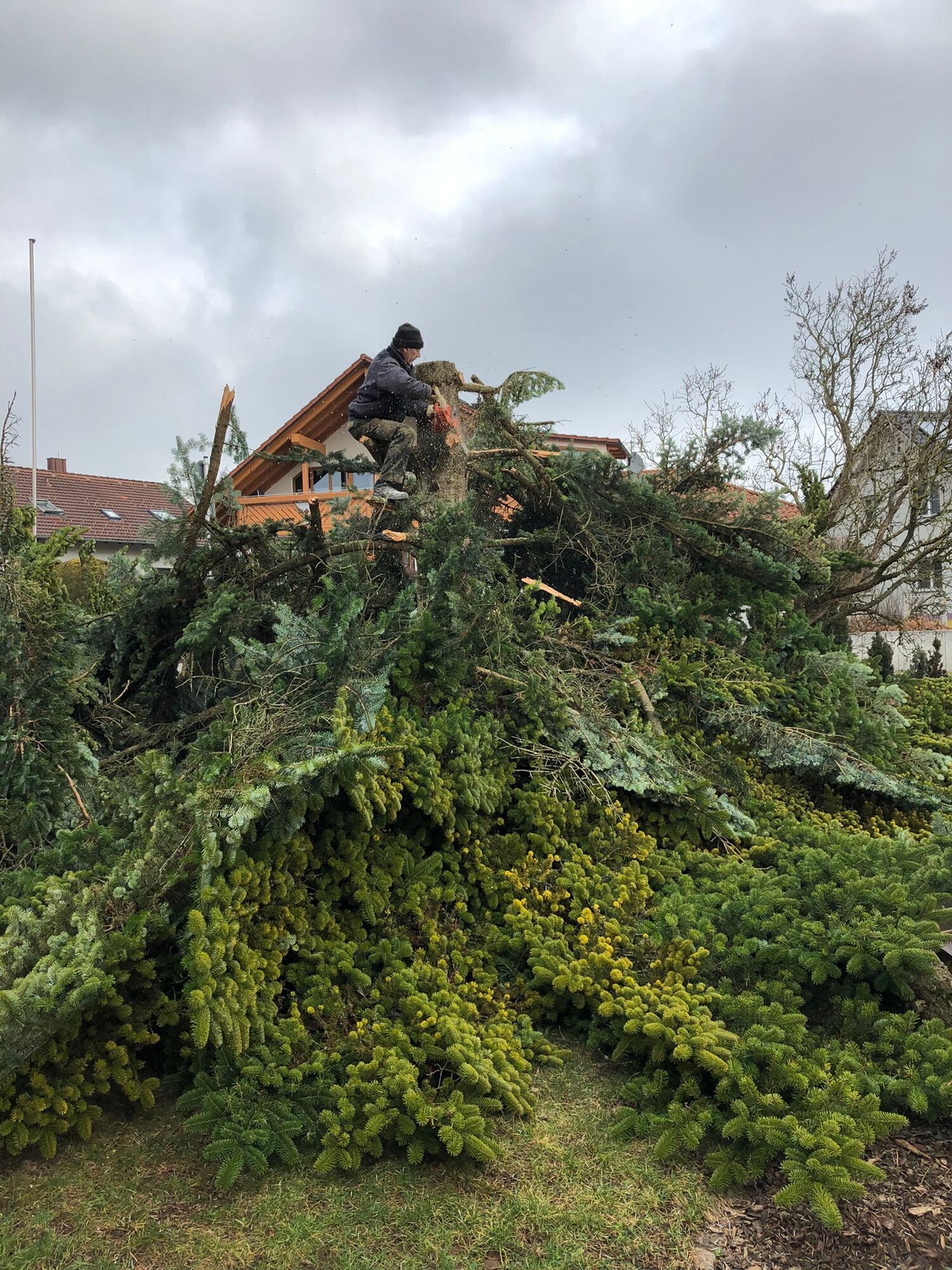 Bilder HDS Hausmeisterservice Entrümpelung Baumfällung Entkernung Demontage Altmetall-Entsorgung