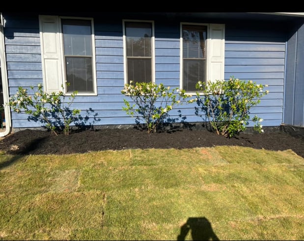 Images Lopez Tree Services and Landscaping