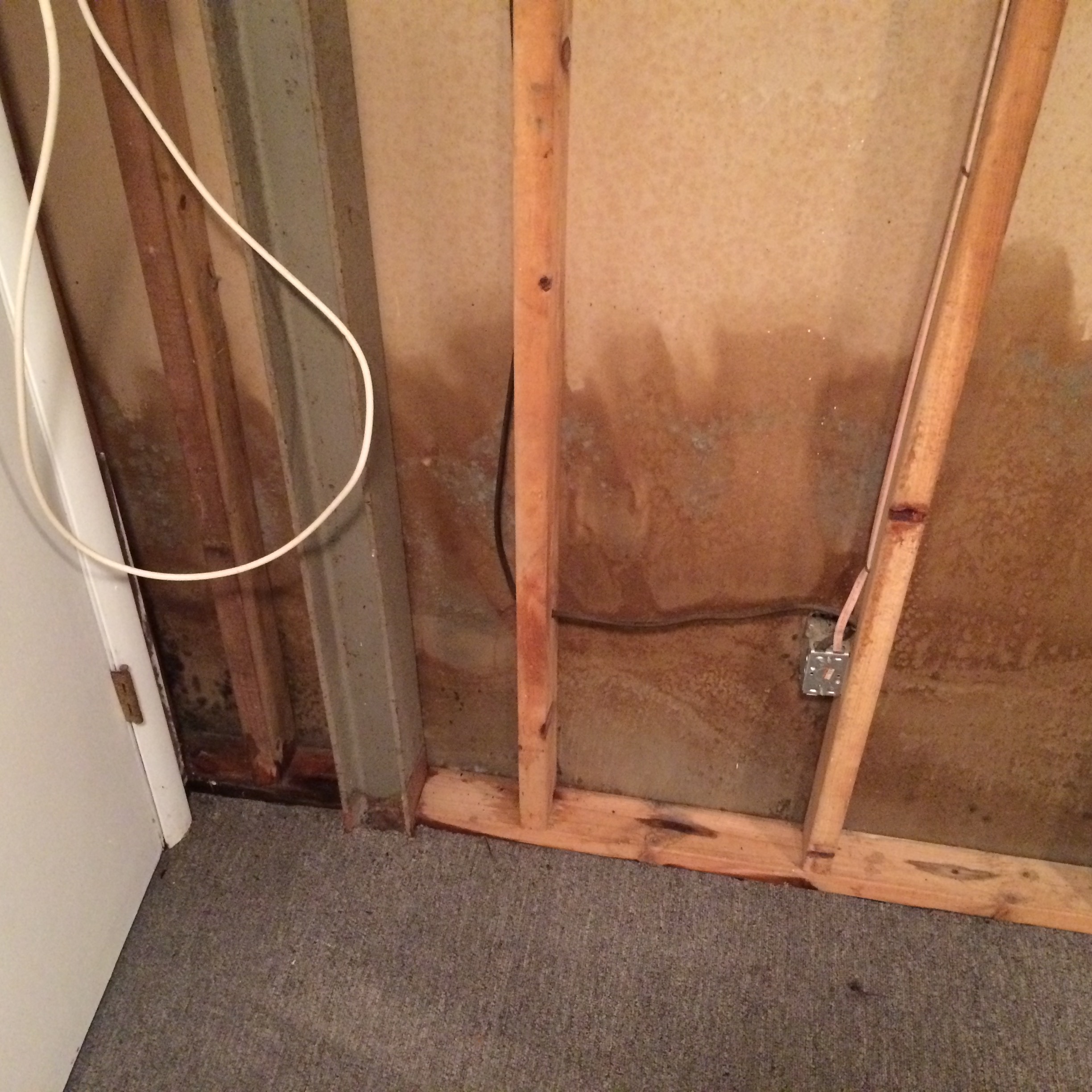 Severe water and mold damage to an Oakville home. SERVPRO of Oakville/Mehlville can take care of your water and mold damage today. Give us a call.