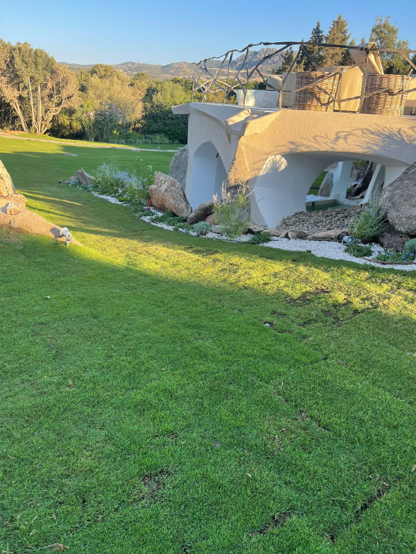 Images Disinfestazioni Ambientali Bachisio Carta