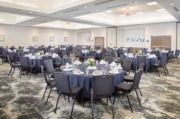 Images Hilton Garden Inn Dallas/Arlington South