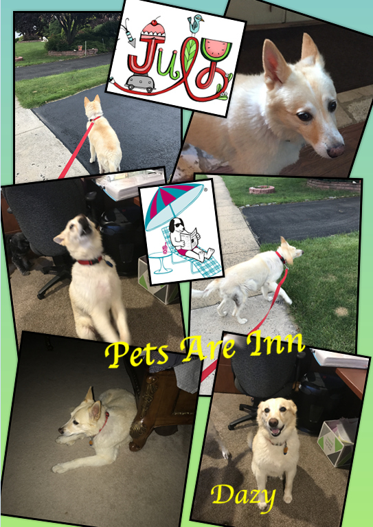 Images Pets Are Inn Bucks County