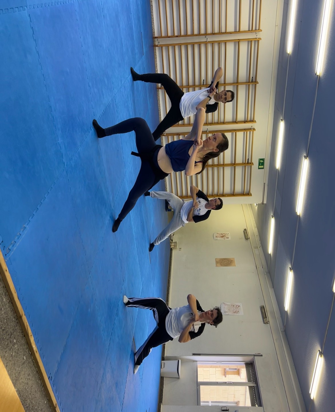 Images Escuela De Wushu/kung Fu Jingwu