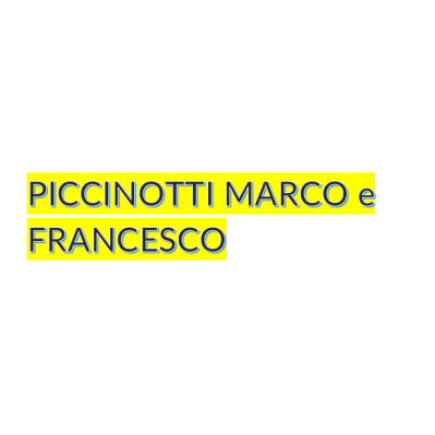 Piccinotti Marco e Francesco Logo