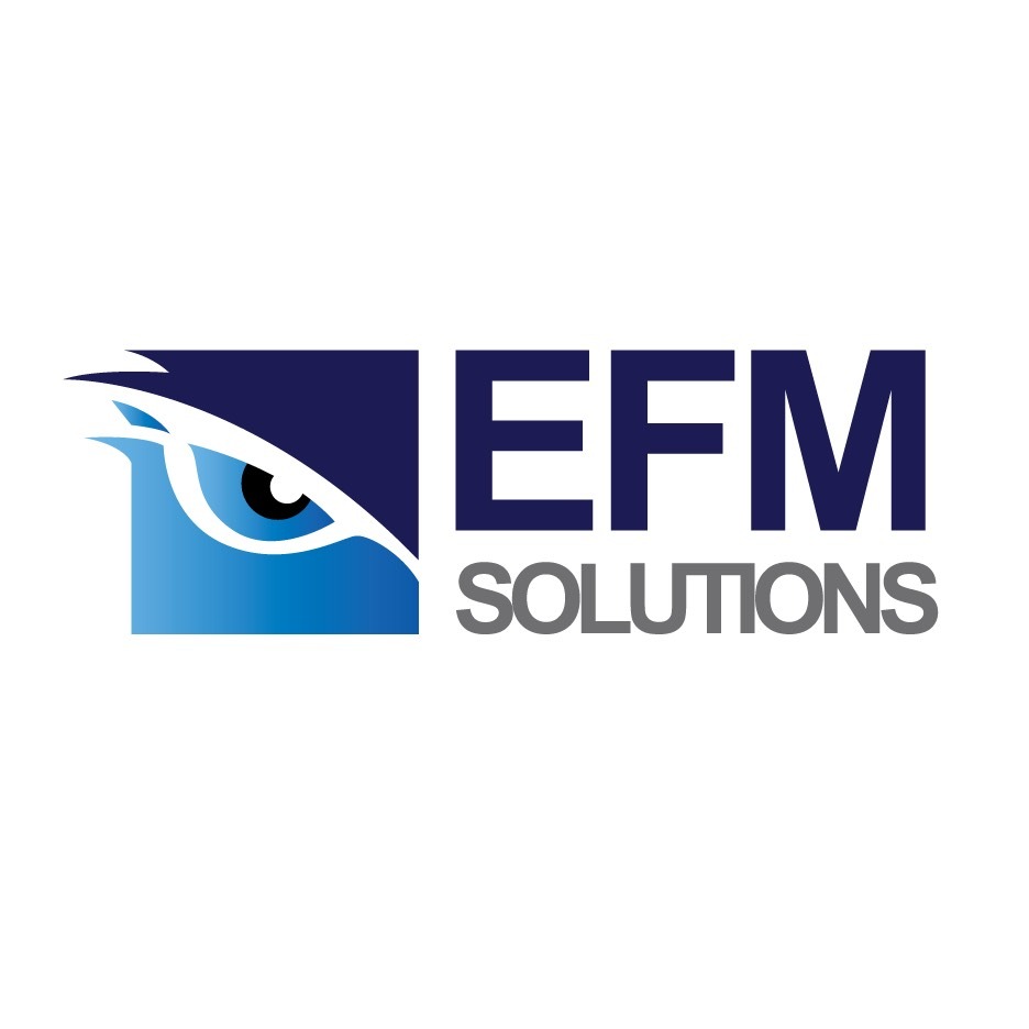 EFM Solutions Logo