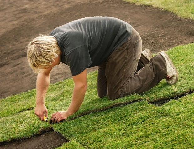Images Simply Sod & Landscaping