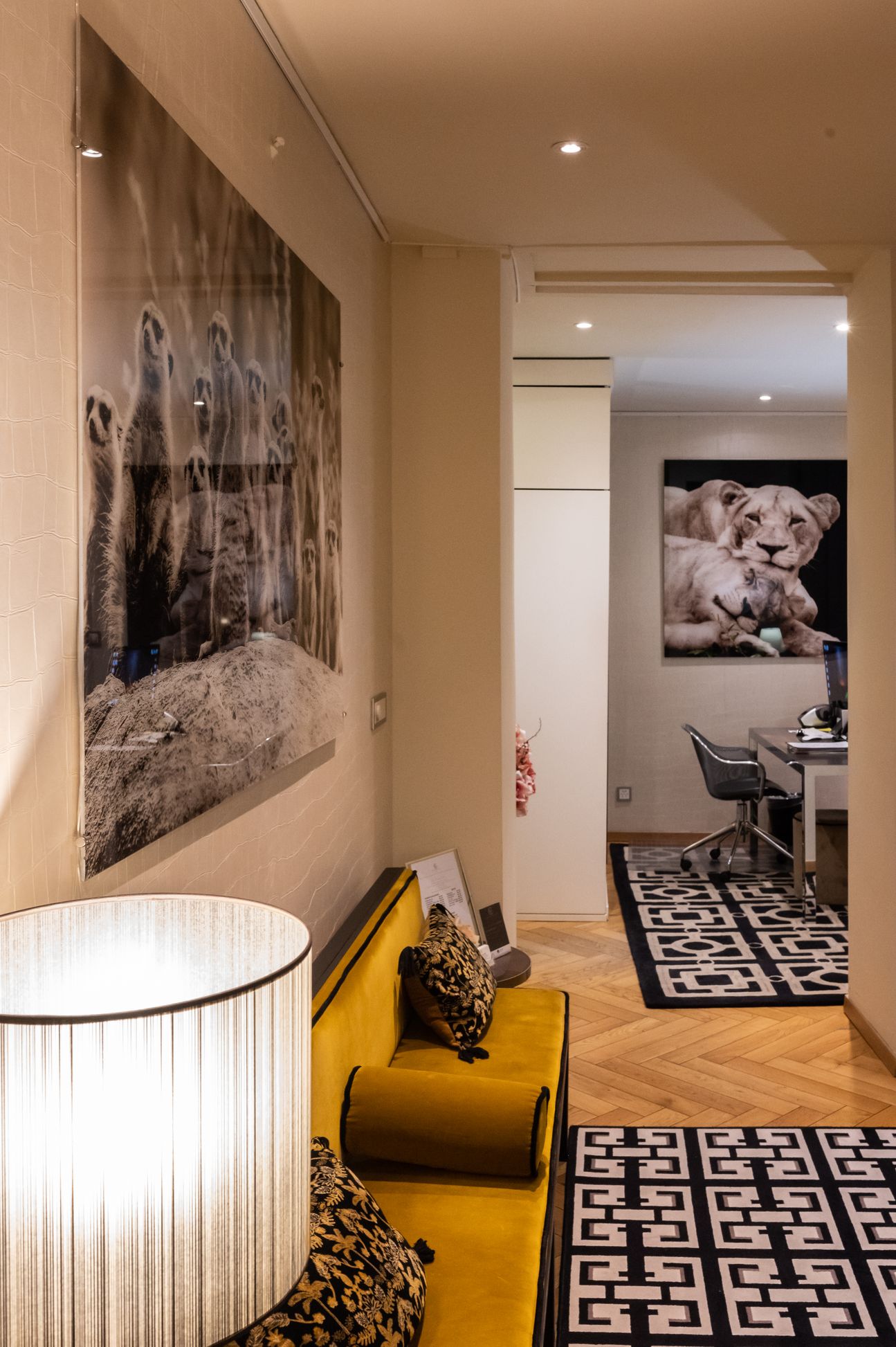 Bilder Rhône Dental Clinic