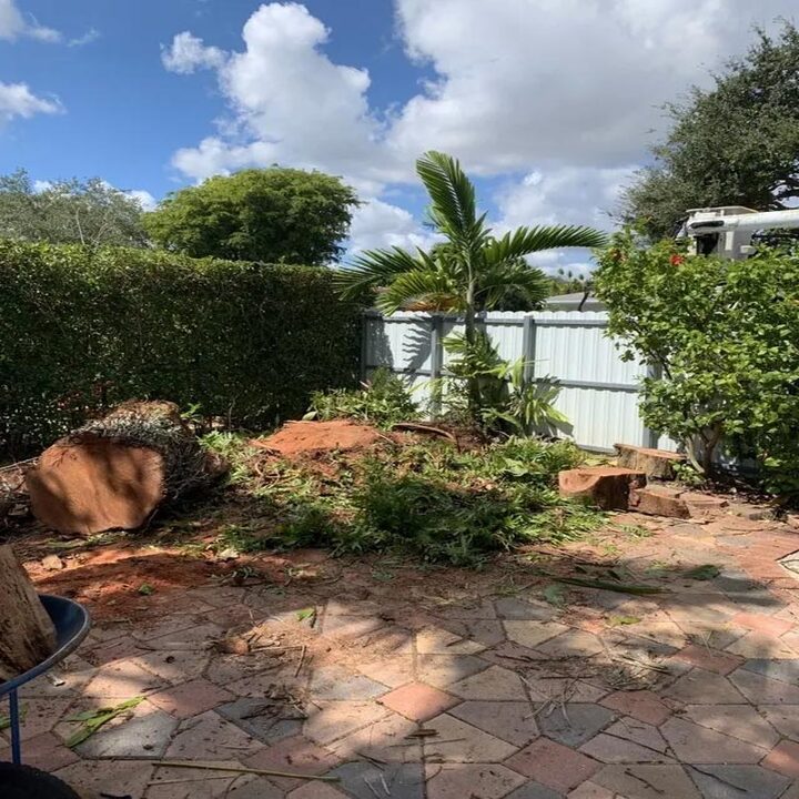 Images Acosta Tree Service