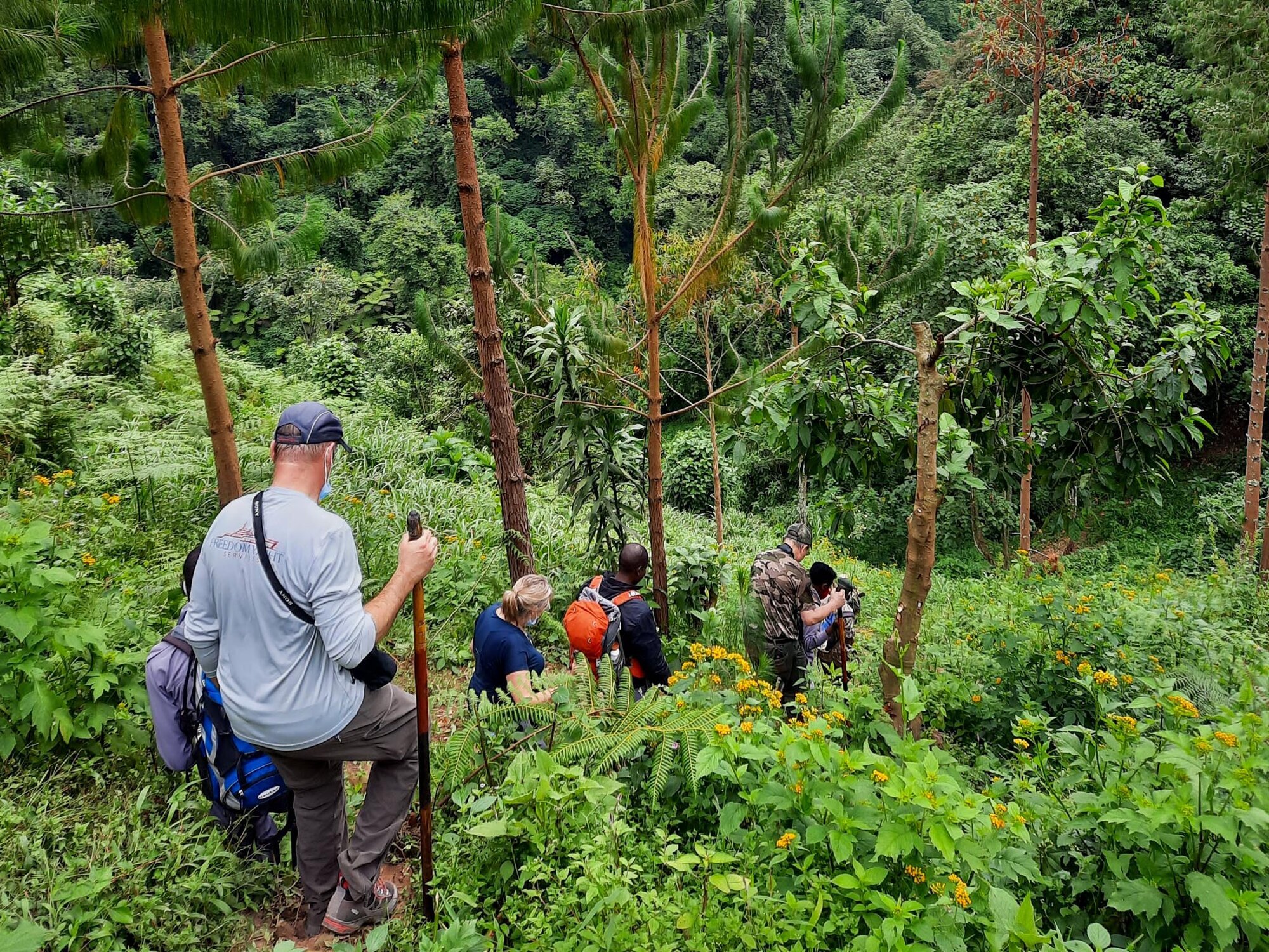 Go n joy Africa, Hönower Straße 35 in Berlin