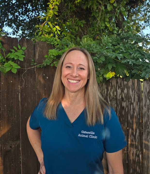 Images Gatesville Animal Clinic, LLC