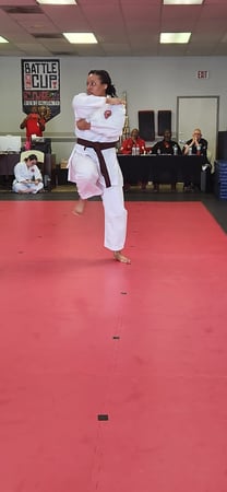 Images Jaguar Dojo