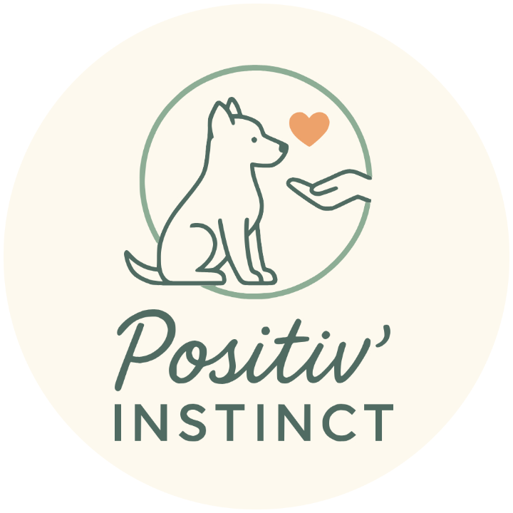 Positiv'instinct dressage animal