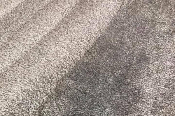carpet cleaning rental
