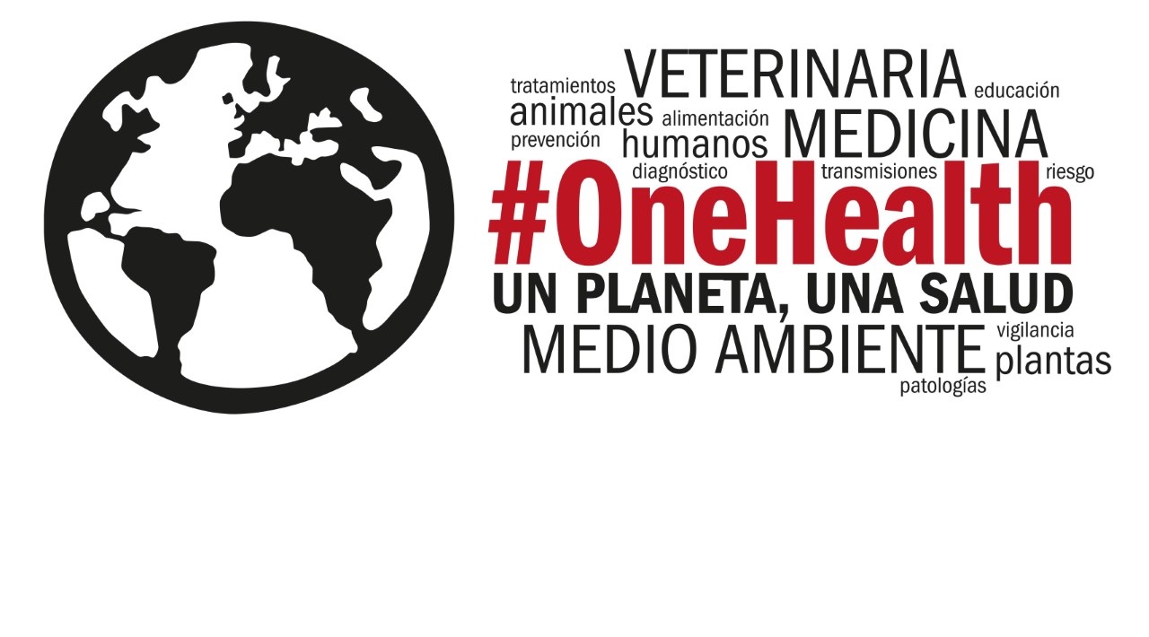 Images Vets Clinica Veterinaria