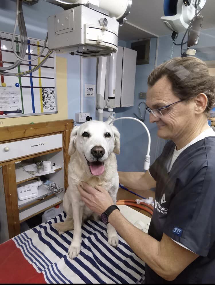 Abingdon Veterinary Clinic