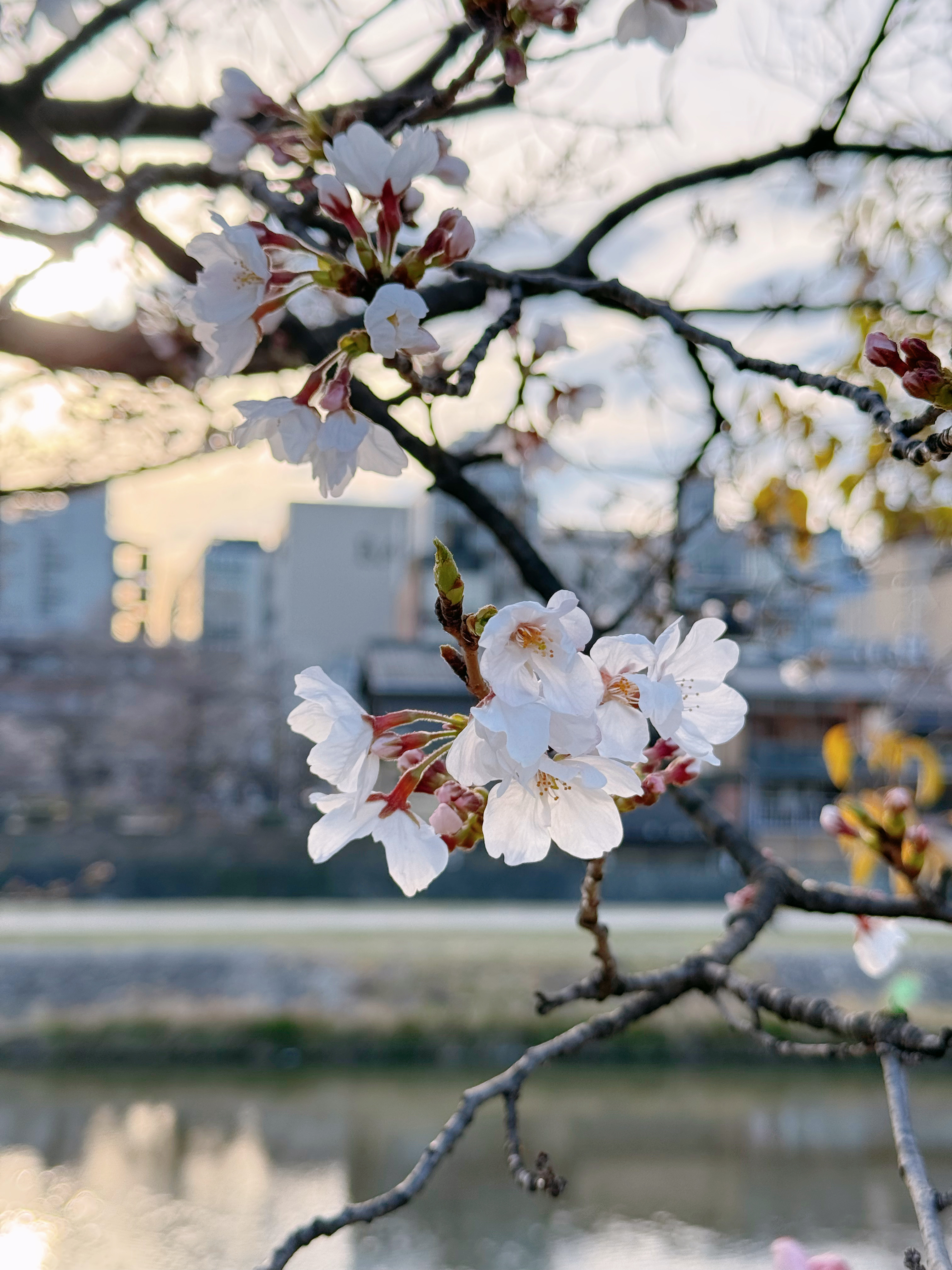 Images ホテル アルザ 京都