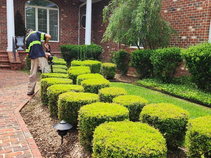 Cape Fear Commercial Lawn Service Image