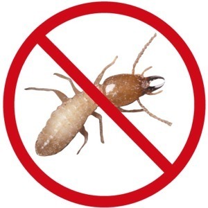 A1 Termite  and  Pest Control Logo