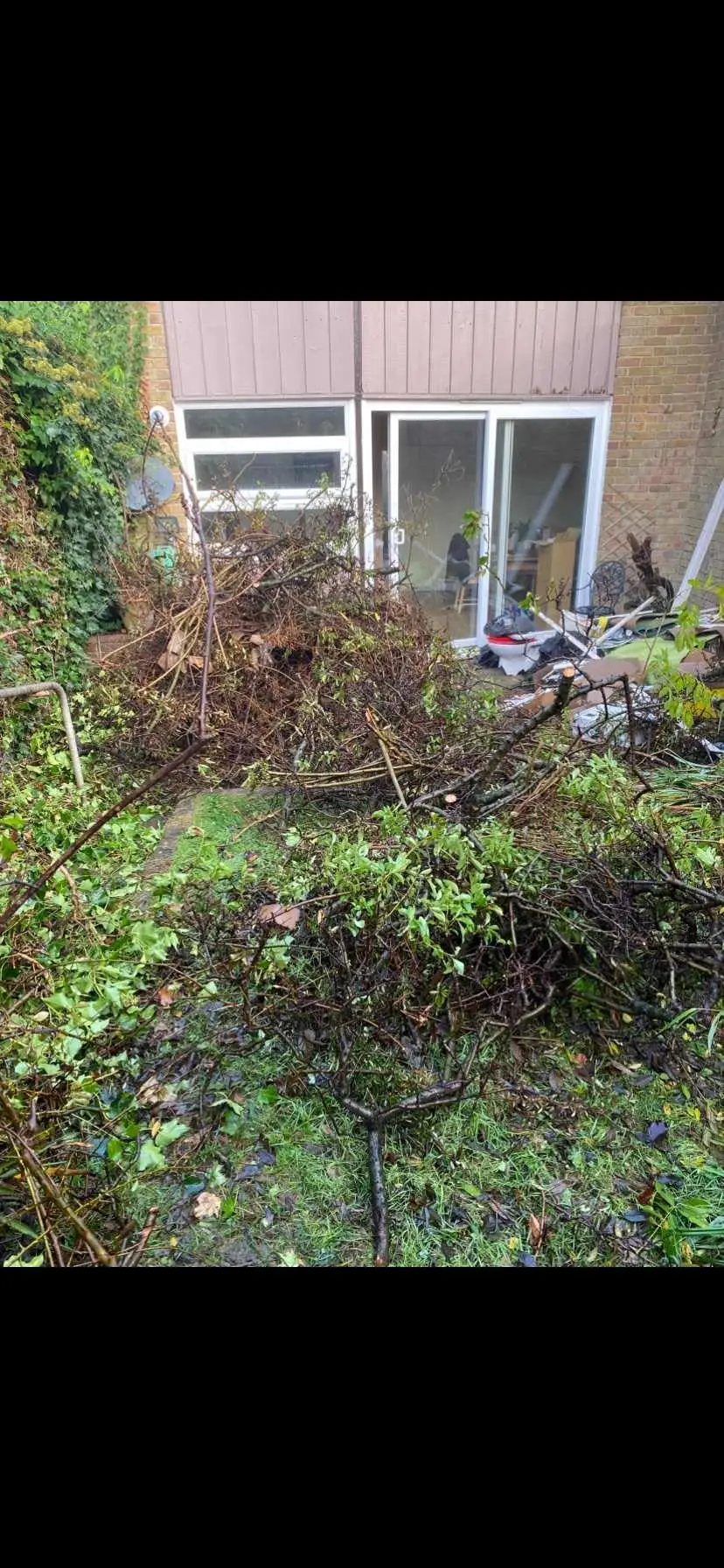 Images Always Clear Waste Removal