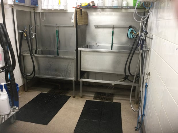 Images Petco Grooming