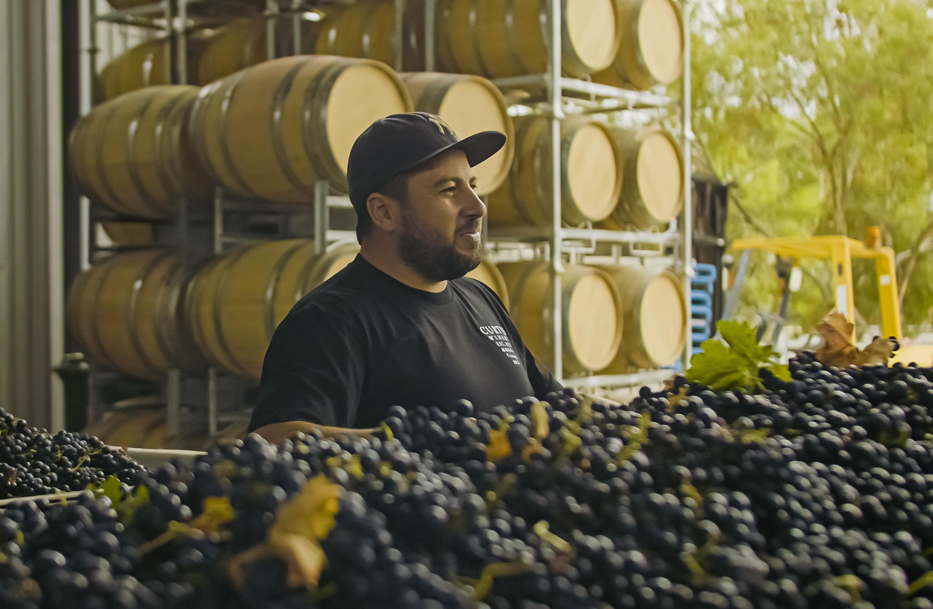 Images Curtis Winery