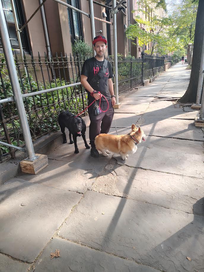 Downtown Brooklyn Pet Care Image