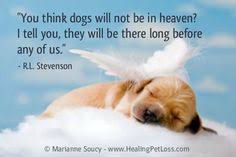 Peaceful Paws Memorial Services LLC Photo