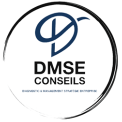 DMSE Conseils