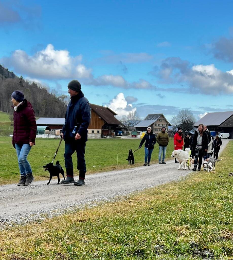 Bilder A-Z-Hundetraining