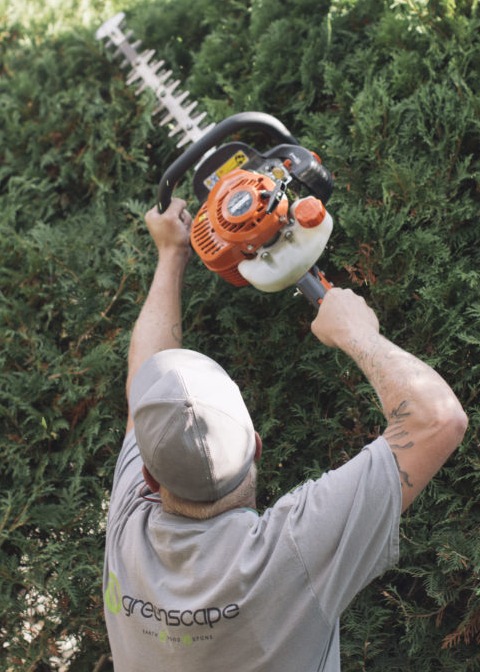 We offer trimming services
