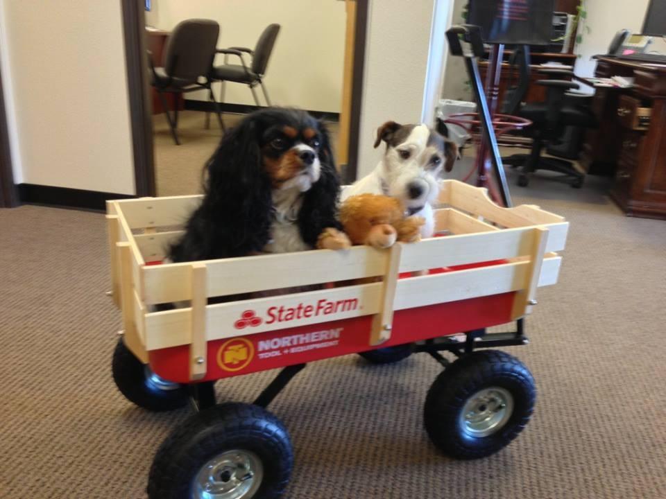 Brooke & Ollie in their State Farm wagon