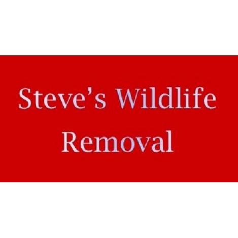 Steve's Wildlife Removal