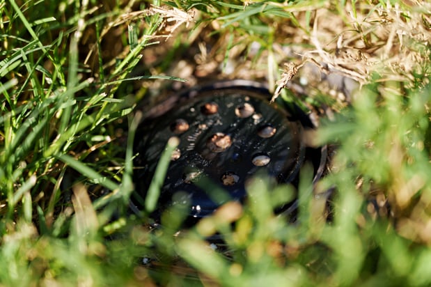 Images Pest Magic, LLC