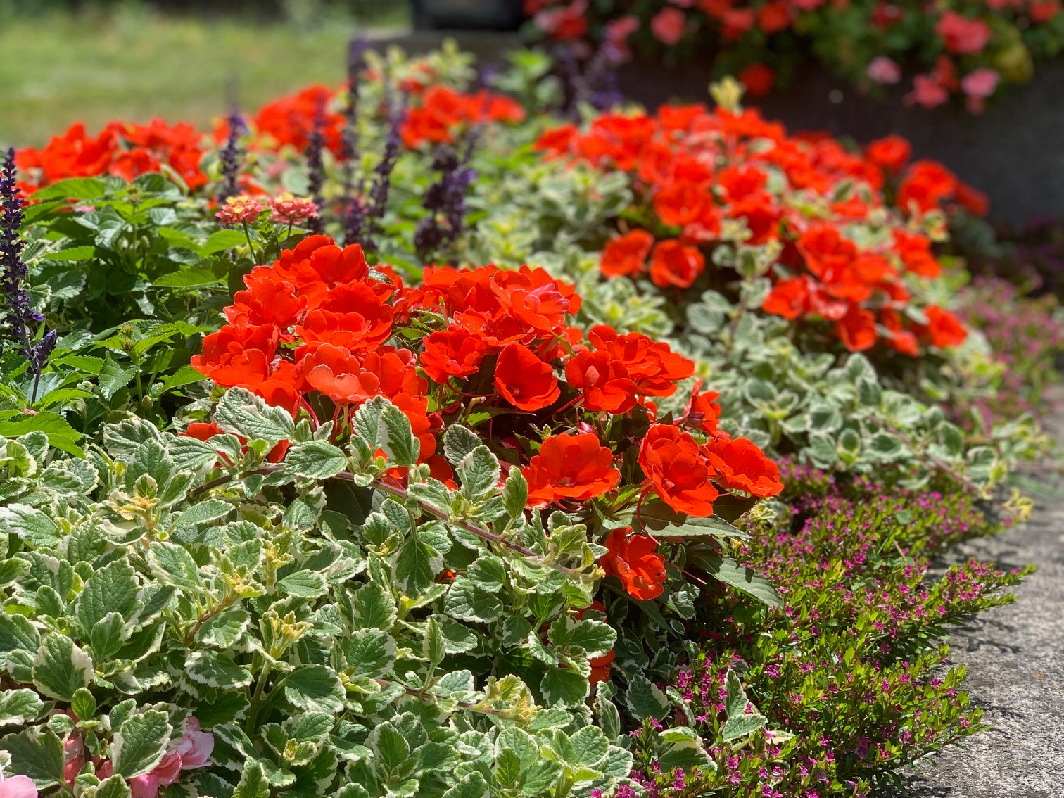 Bild 6 von Blumen Schuster in Meidling - Christine Schuster